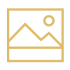 Logoic will then start building your website.